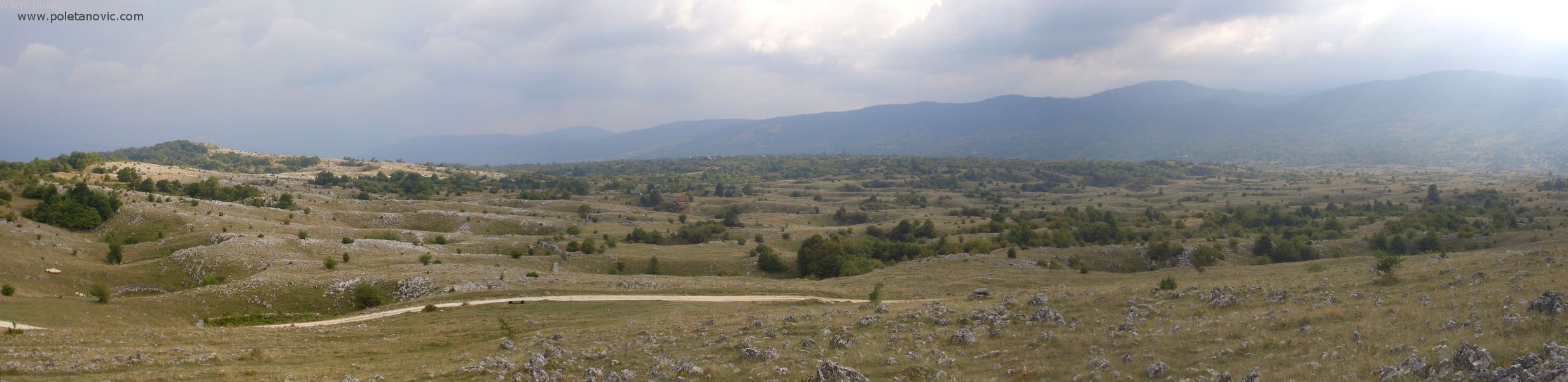 djukic001_stitch