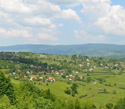 Pictures of Vagan