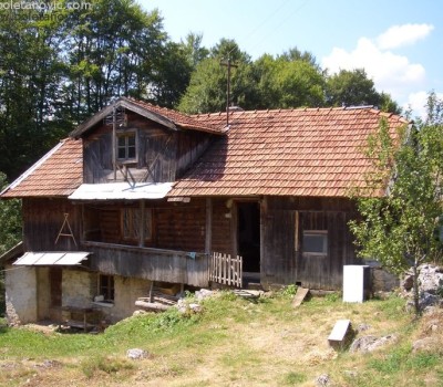 Pictures of Đukić